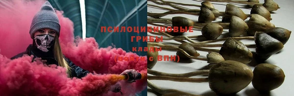 ГАЛЛЮЦИНОГЕННЫЕ ГРИБЫ Алексеевка