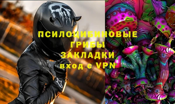 ГАЛЛЮЦИНОГЕННЫЕ ГРИБЫ Алексеевка